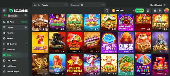 Exploring BC.Game Crypto Casino in Argentina