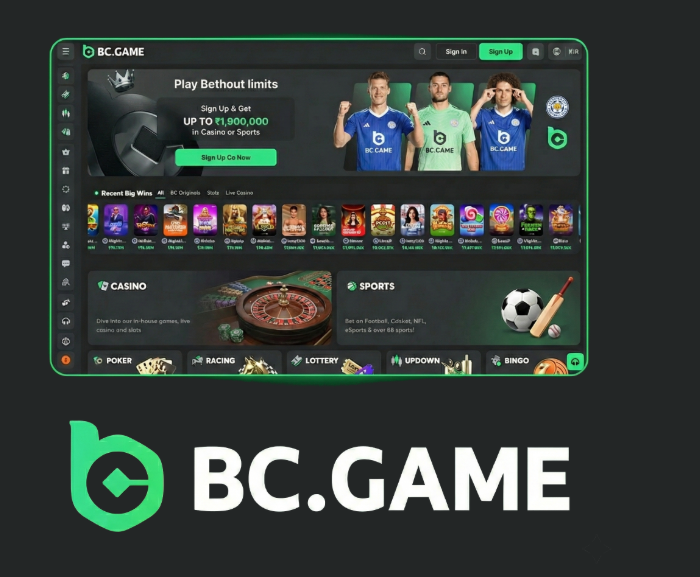The Ultimate Guide to BC.Game Casino